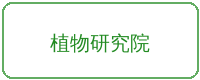 国产主播合作品牌植物研究院